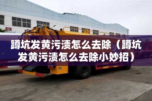 蹲坑发黄污渍怎么去除（蹲坑发黄污渍怎么去除小妙招）