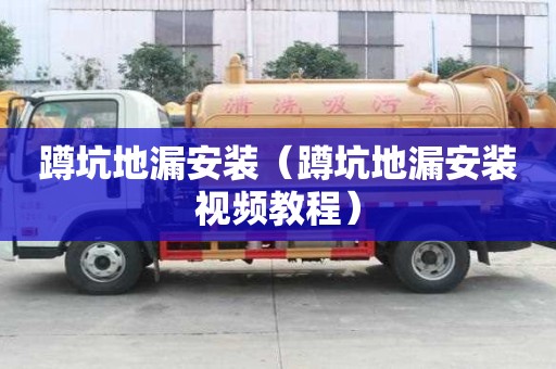 蹲坑地漏安装（蹲坑地漏安装视频教程）
