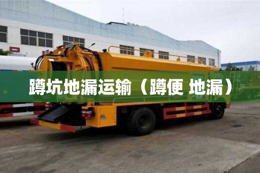 蹲坑地漏运输（蹲便 地漏）