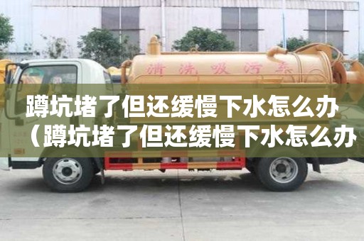 蹲坑堵了但还缓慢下水怎么办（蹲坑堵了但还缓慢下水怎么办视频）