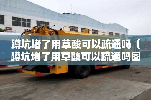 蹲坑堵了用草酸可以疏通吗（蹲坑堵了用草酸可以疏通吗图片）
