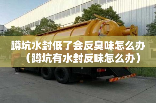 蹲坑水封低了会反臭味怎么办（蹲坑有水封反味怎么办）