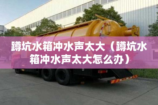 蹲坑水箱冲水声太大（蹲坑水箱冲水声太大怎么办）