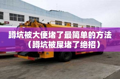 蹲坑被大便堵了最简单的方法(蹲坑被屎堵了绝招) 蹲坑被大便堵了最简单的方法(蹲坑被屎堵了绝招)