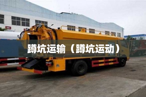 蹲坑运输（蹲坑运动）