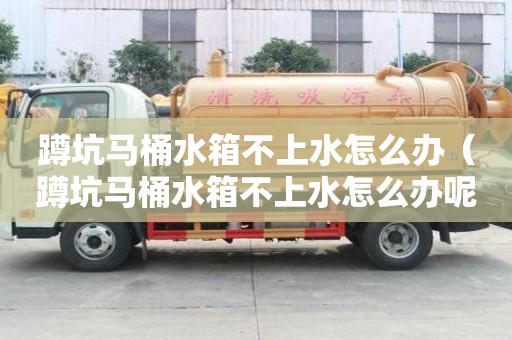 蹲坑马桶水箱不上水怎么办（蹲坑马桶水箱不上水怎么办呢）