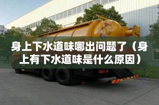 身上下水道味哪出问题了（身上有下水道味是什么原因）