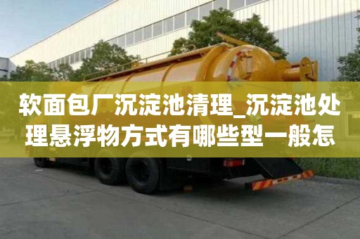 软面包厂沉淀池清理_沉淀池处理悬浮物方式有哪些型一般怎么收费