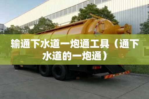 输通下水道一炮通工具(通下水道的一炮通) 输通下水道一炮通工具(通下水道的一炮通)