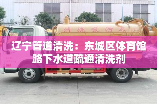 辽宁管道清洗：东城区体育馆路下水道疏通清洗剂