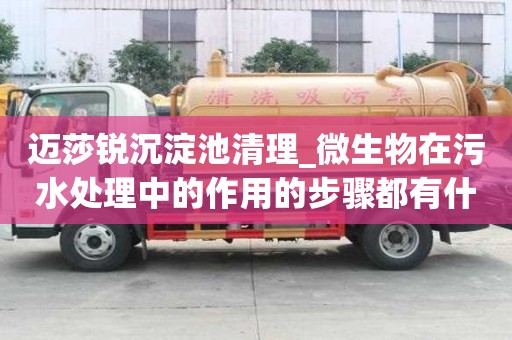 迈莎锐沉淀池清理_微生物在污水处理中的作用的步骤都有什么