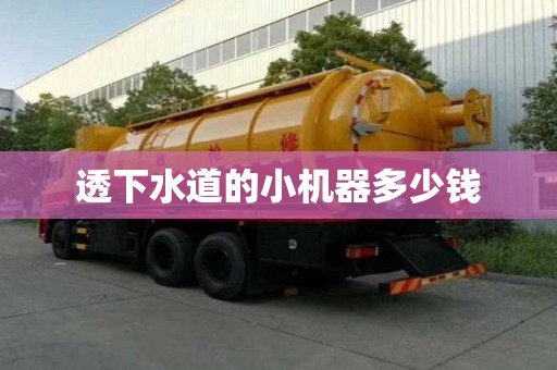 透下水道的小机器多少钱