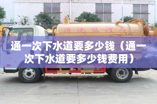 通一次下水道要多少钱（通一次下水道要多少钱费用）