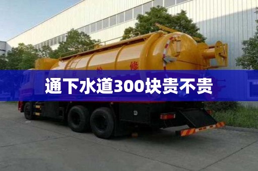 通下水道300块贵不贵