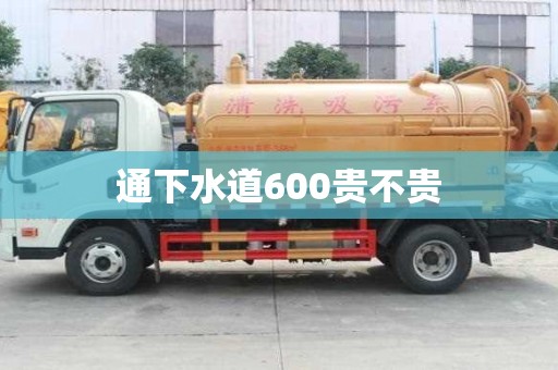 通下水道600贵不贵 通下水道600贵不贵