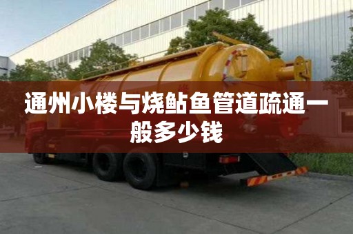 通州小楼与烧鲇鱼管道疏通一般多少钱