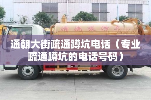 通朝大街疏通蹲坑电话（专业疏通蹲坑的电话号码）