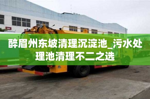 醉眉州东坡清理沉淀池_污水处理池清理不二之选