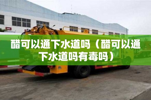 醋可以通下水道吗（醋可以通下水道吗有毒吗）