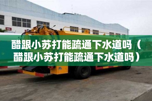 醋跟小苏打能疏通下水道吗（醋跟小苏打能疏通下水道吗）