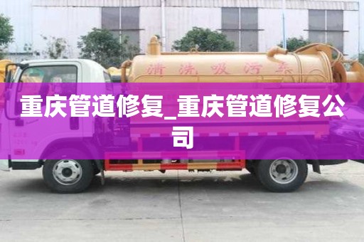 重庆管道修复_重庆管道修复公司