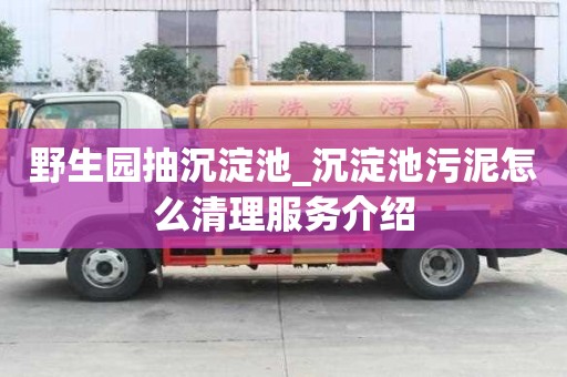 野生园抽沉淀池_沉淀池污泥怎么清理服务介绍
