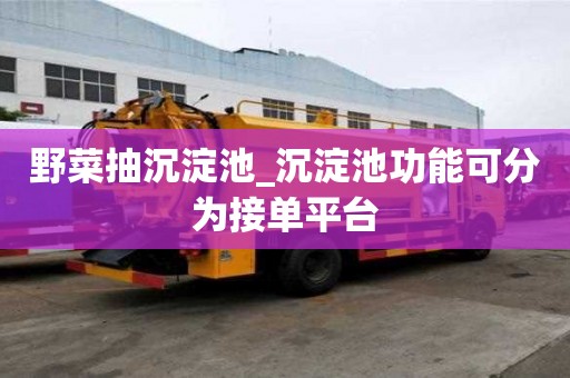 野菜抽沉淀池_沉淀池功能可分为接单平台