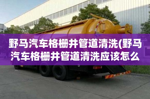 野马汽车格栅井管道清洗(野马汽车格栅井管道清洗应该怎么选)