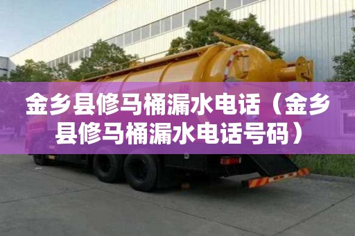 金乡县修马桶漏水电话（金乡县修马桶漏水电话号码）