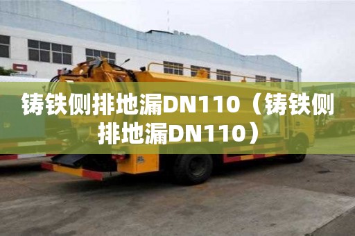 铸铁侧排地漏DN110（铸铁侧排地漏DN110）