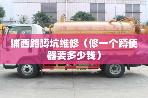 铺西路蹲坑维修（修一个蹲便器要多少钱）