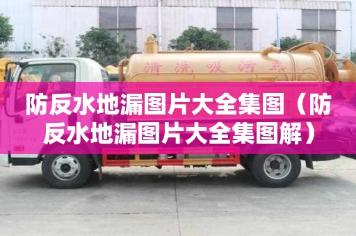 防反水地漏图片大全集图（防反水地漏图片大全集图解）
