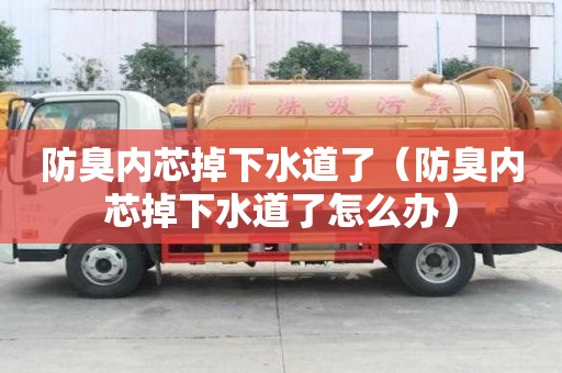 防臭内芯掉下水道了（防臭内芯掉下水道了怎么办）