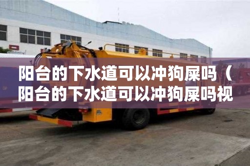 阳台的下水道可以冲狗屎吗（阳台的下水道可以冲狗屎吗视频）