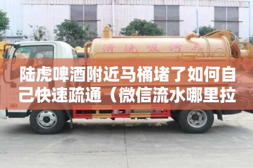 陆虎啤酒附近马桶堵了如何自己快速疏通（微信流水哪里拉）