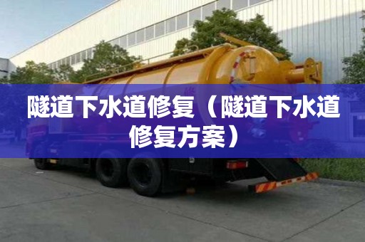 隧道下水道修复（隧道下水道修复方案）