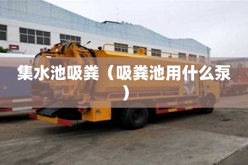 集水池吸粪（吸粪池用什么泵）