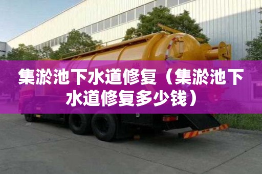 集淤池下水道修复（集淤池下水道修复多少钱）