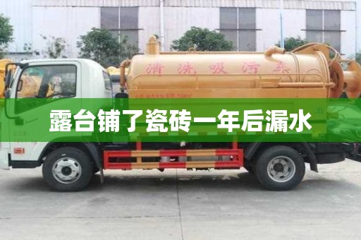 露台铺了瓷砖一年后漏水
