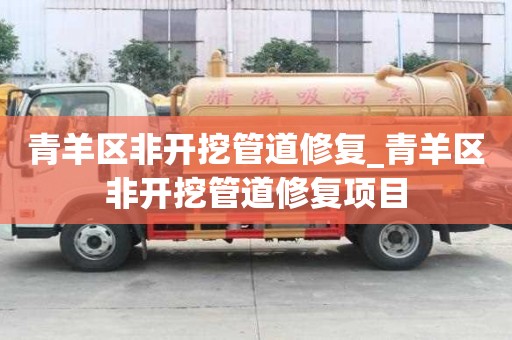 青羊区非开挖管道修复_青羊区非开挖管道修复项目