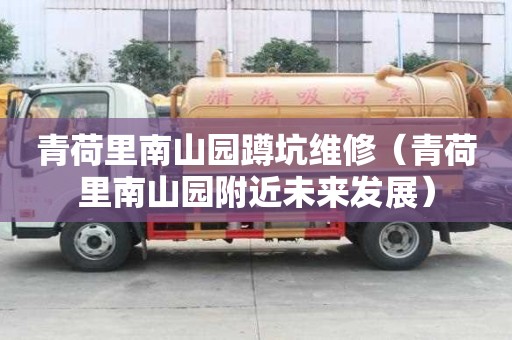 青荷里南山园蹲坑维修（青荷里南山园附近未来发展）