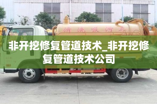 非开挖修复管道技术_非开挖修复管道技术公司