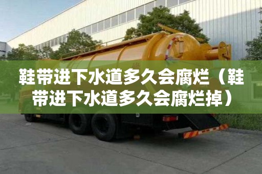 鞋带进下水道多久会腐烂（鞋带进下水道多久会腐烂掉）