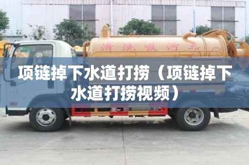 项链掉下水道打捞（项链掉下水道打捞视频）