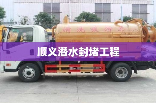 顺义潜水封堵工程