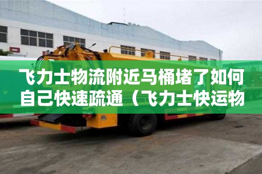 飞力士物流附近马桶堵了如何自己快速疏通（飞力士快运物流单号查询快速）