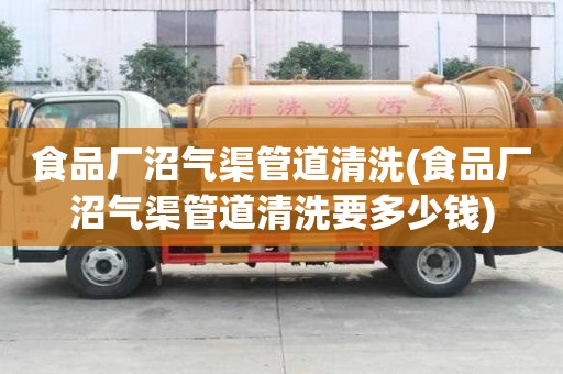 食品厂沼气渠管道清洗(食品厂沼气渠管道清洗要多少钱)