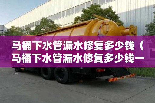 马桶下水管漏水修复多少钱（马桶下水管漏水修复多少钱一个）