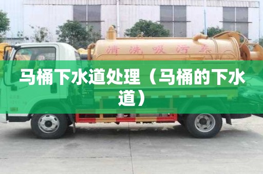 马桶下水道处理（马桶的下水道）