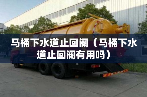 马桶下水道止回阀（马桶下水道止回阀有用吗）